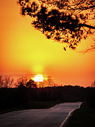 Asphalt Ribbon Photograph by Charles Hite