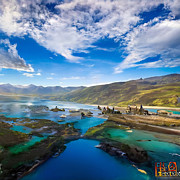 Auspicious Beginnings Digital Art by Eris and AI