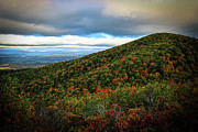 Autumn at Iron Mine Hollow Photograph by Deb Beausoleil