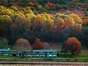 Autumn Blaze at the Peaks of Otter Photograph by Deb Beausoleil
