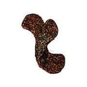 Autumn Drama Digital Art by Rafael Salazar