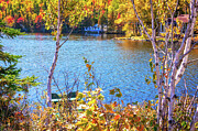 Autumn River with White Birch Trees - Quebec, Canada Photograph by Tatiana Travelways