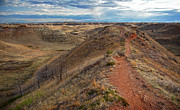 Badlands Hiking Trail Photograph by Dan Sproul