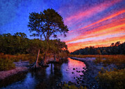 Bald cypress trees near the Guadalupe River in Texas at twilight - digital painting Digital Art by Nicko Prints