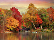 Bank Rock Bay Photograph by Jessica Jenney