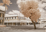 Bay and Parliament Street Photograph by Gian Smith