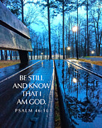 Be Still Photograph by Greg Lane