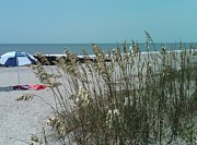 Beach and Seaweed Photograph by Catherine Wilson