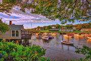 Beautiful Perkins Cove Photograph by Penny Polakoff