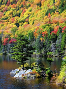 Beaver Pond #2346 Photograph by Dan Beauvais