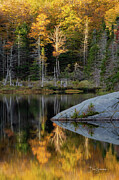 Beaver Pond Reflection #8224 Photograph by Dan Beauvais