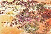 Beaver pond with lichen texture Digital Art by Bruce Block