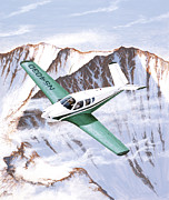 Beechcraft Bonanza Painting by Steve Ferguson