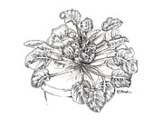 Before I Was Free Drawing by Catherine Bede