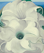Bella Donna - abstract modernist flower painting by Georgia O'Keeffe Painting by Georgia O'Keeffe