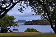 Bench Overlooking the Sea Photograph by Matthew DeGrushe