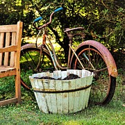 Bicycle Bench1 Photograph by John Linnemeyer