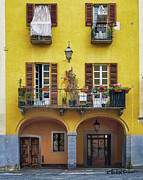 Biella Photograph by Steven Dos Remedios