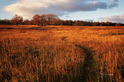 Big Meadows #7187 Photograph by Dan Beauvais