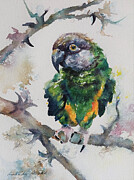 Binkie Bird Painting by Amanda Amend