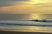 Bird in Flight Over Ocean at Sunrise Photograph by Matthew DeGrushe