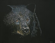 Black Shadows Mixed Media by Mark Ray