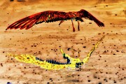 Black Skimmer Take-off Digital Art by Bruce Block