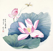 Blossoms of China - Lotus Painting by Ren Yu