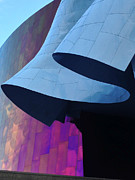 Blue Bonnets Photograph by Juliette Becker