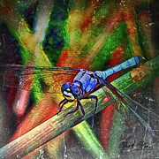 Blue Dragonfly Digital Art by David McKinney