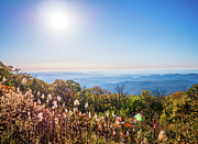 Blue Mountains Vista Photograph by Rachel Morrison