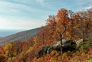 Blue Ridge Fall 002 Photograph by Rob Narwid