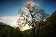 Blue Ridge Sunset Photograph by Steven Nelson