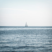 Blue Solitary Photograph by Rich Kovach