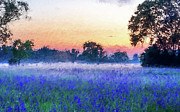 Bluebonnet Texas - 12 Painting by AM FineArtPrints
