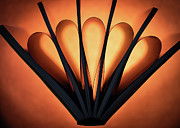 Book Fan Photograph by Elvira Peretsman