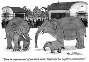 Born in Conservation Drawing by JB Handelsman