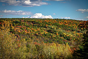 Botsford Nature Preserve 44 Photograph by William Norton