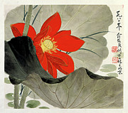 Brilliant Red Lotus Flower Painting by Yu Zhizhen