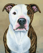 Brindle and White Pit Bull Terrier Dog Painting by Rebecca Wang