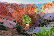 Bryce Natural Bridge Morning Glow Photograph by Ron Long Ltd Photography