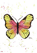 Butterfly Painting by Catherine Bede