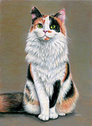Calico Cat Drawing by Rebecca Wang