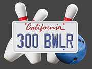 California 300 Photograph by Kelley King