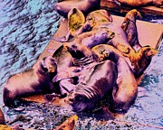 California sea lions Digital Art by Bruce Block