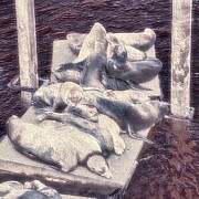 California Sea Lions sleepin on the dock Digital Art by Bruce Block