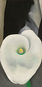 Calla Lily for Alfred by Georgia O'Keeffe Painting by Georgia O'Keeffe