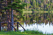 Calm Water Reflections at Tuckamore Lake, Newfoundland Photograph by Tatiana Travelways