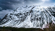 Canadian Rocky Mountain Majesty Photograph by Tommy Farnsworth