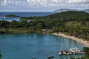 Caneel Bay Resort on St. John Photograph by Matthew DeGrushe
